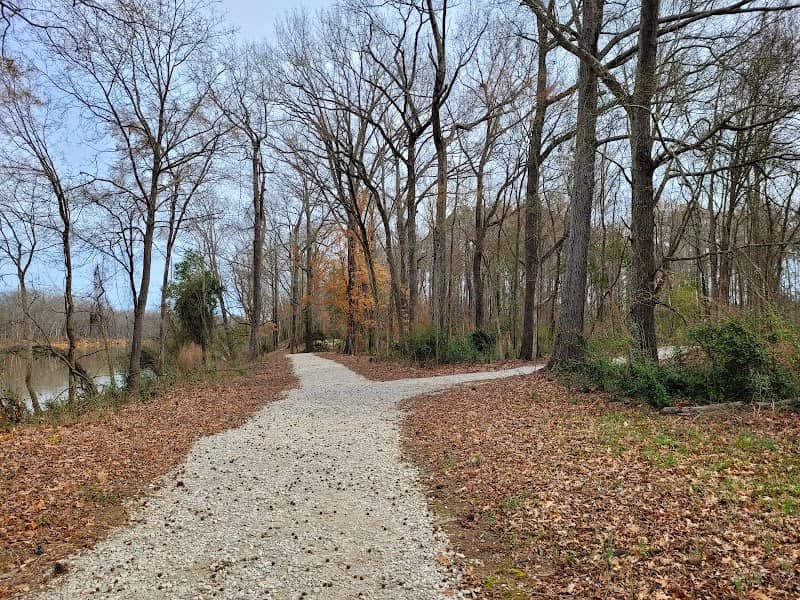 Lillington River Park - Image 1
