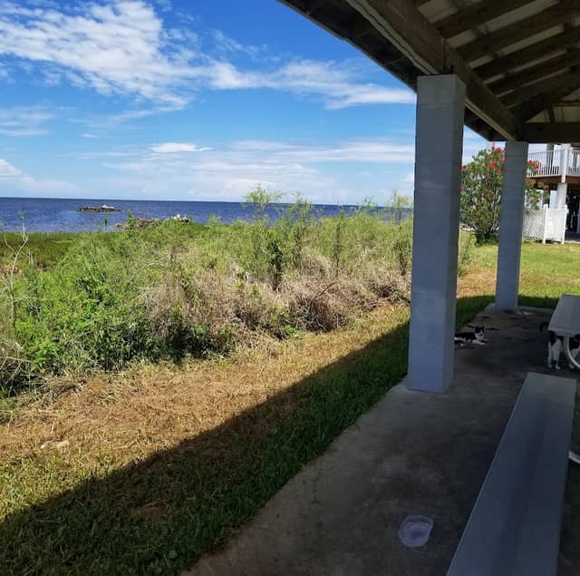Dark Island Park - Image 2