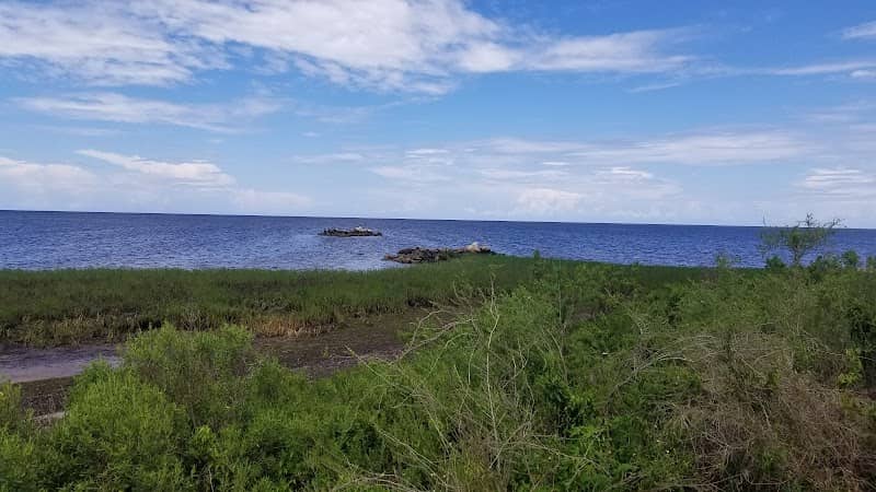 Dark Island Park - Image 1