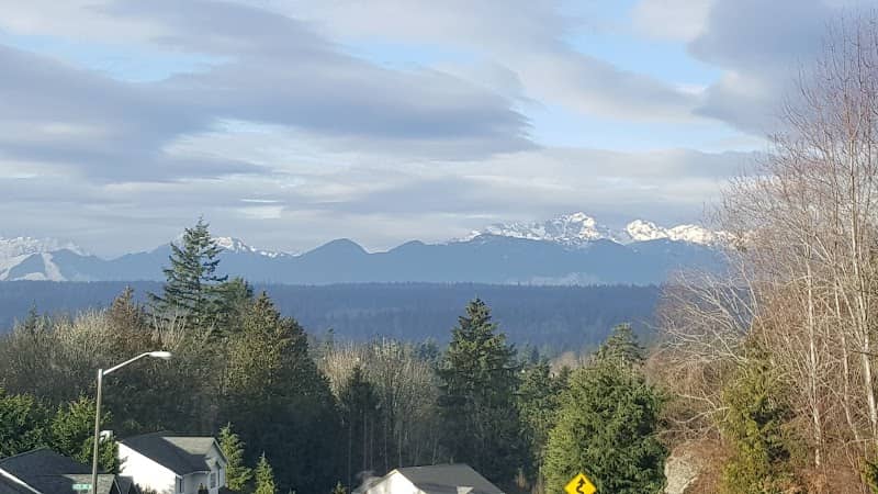 Forest Rock Hills Park - Image 2