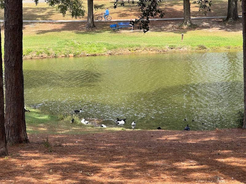 Twin Hills Duck Pond - Image 2