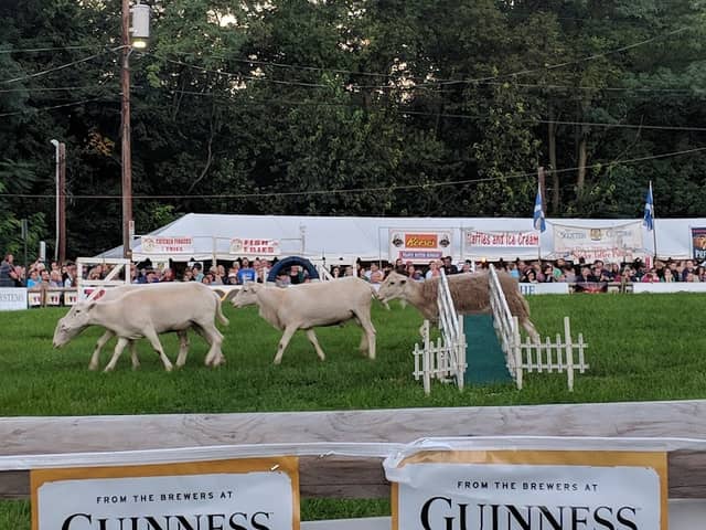 Celtic Classic Highland Games & Festival - Image 1