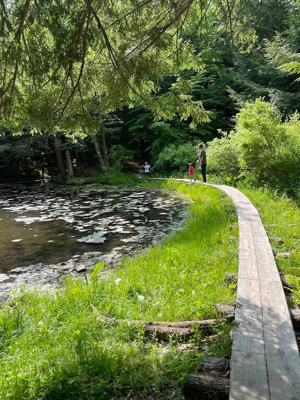 Selkirk Shores Frog Pond - Image 1