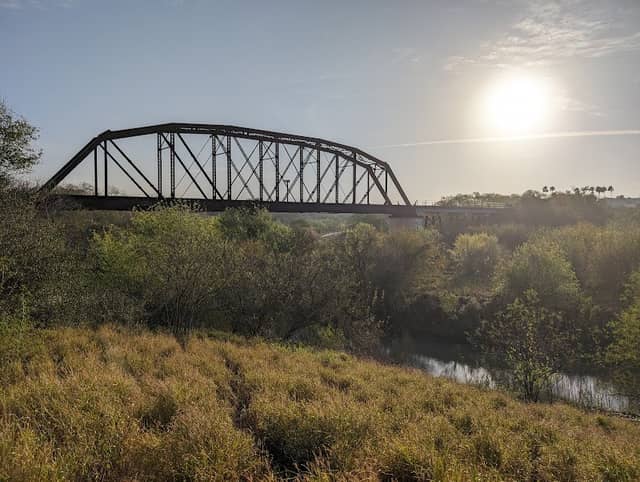 Harlingen Thicket - Image 1