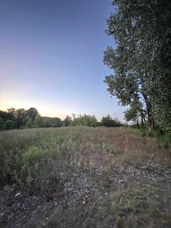 Wyndham Knoll Park - Image 1
