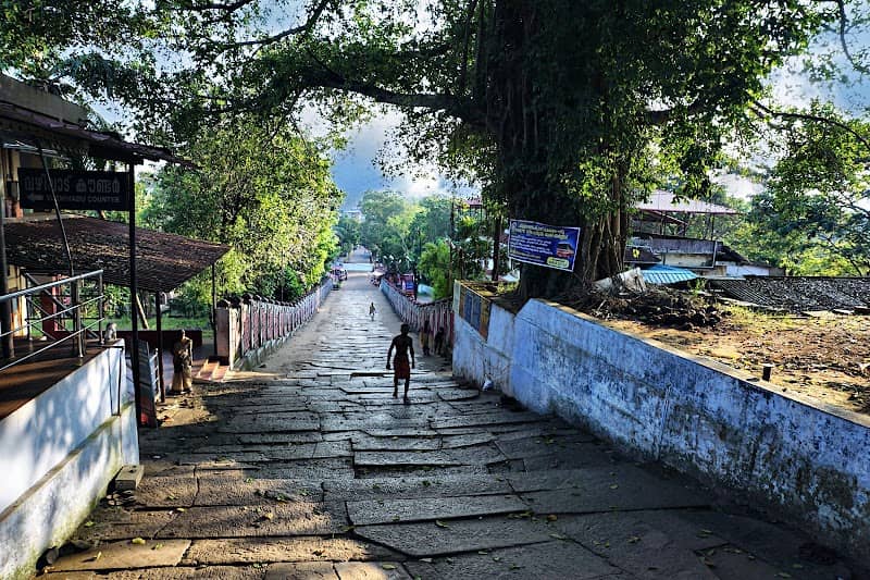 Chaver Thara - Image 1