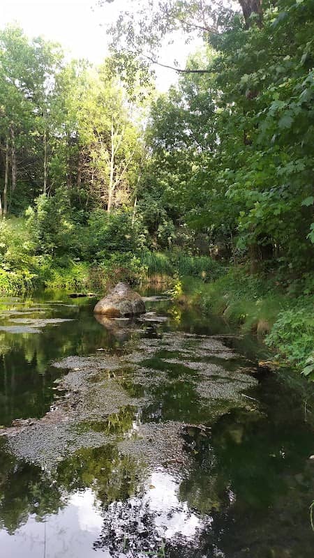 Stagno di Sondalo - Image 1
