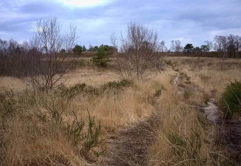 Dunyeats Nature Reserve - Image 1