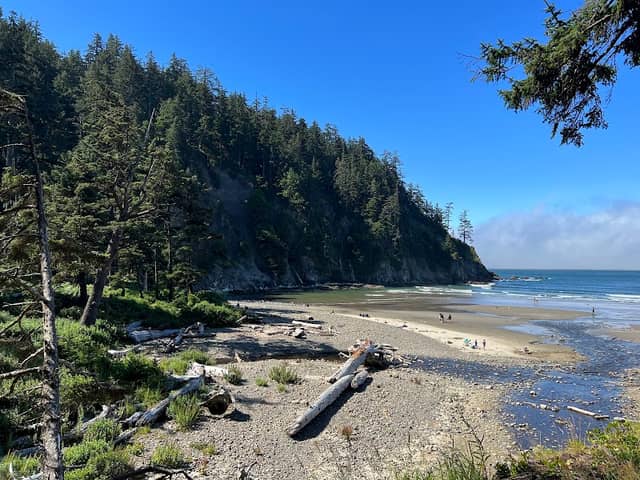 Short Sand Beach, Oswald West State Park - Image 3