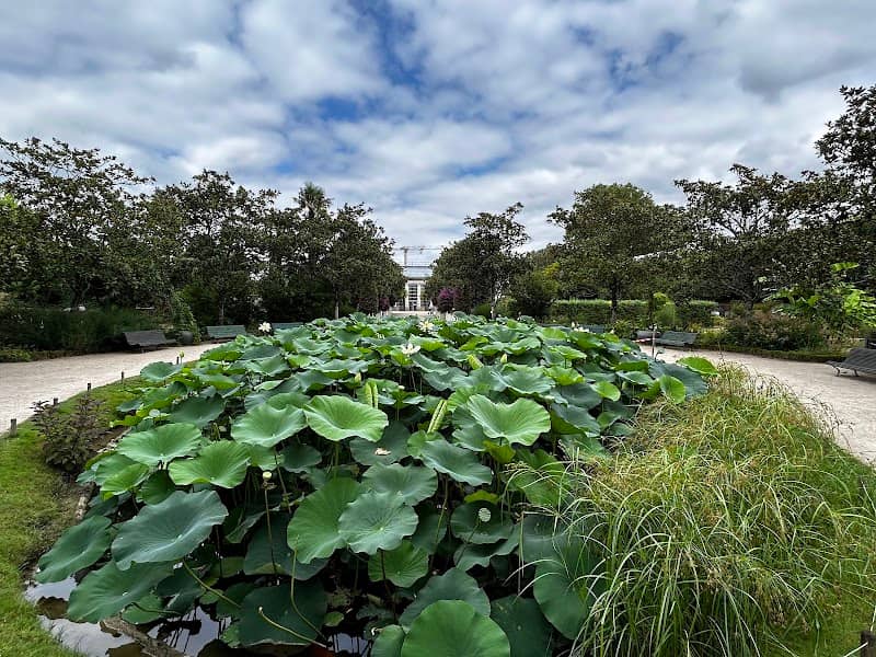 Jardin botanique de Tours - Image 2