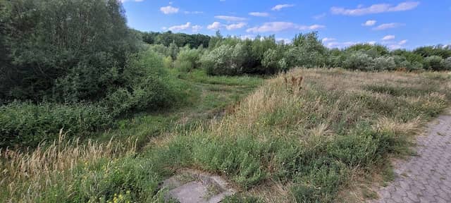 Bulwar w Rybienku Leśnym - Image 1