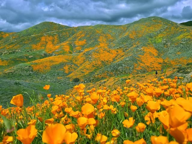 Walker Canyon Trailhead - Image 1