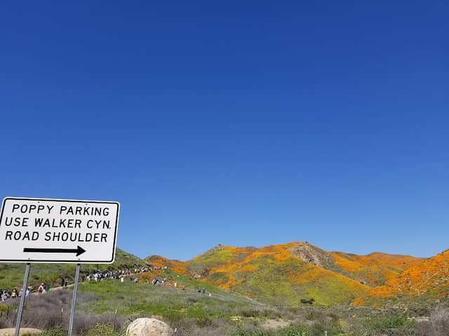 Walker Canyon Trailhead - Image 3