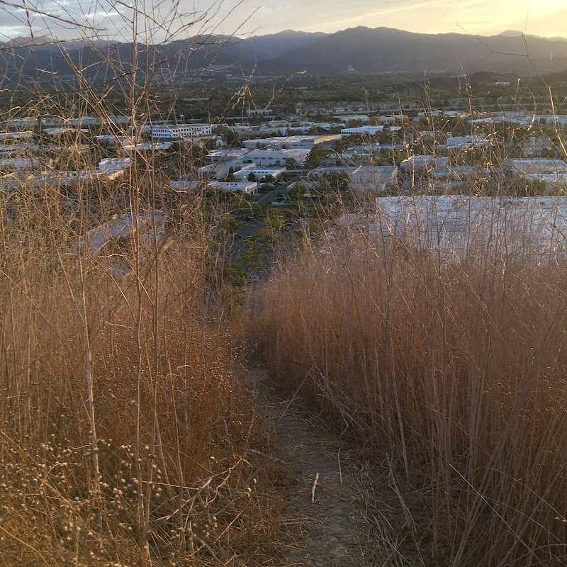 Tommy Smith Hill - Image 2