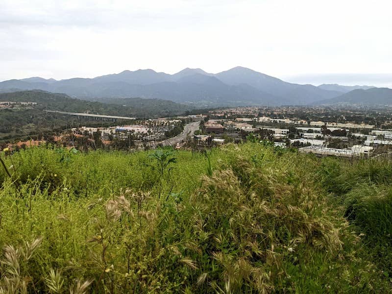 Tommy Smith Hill - Image 1