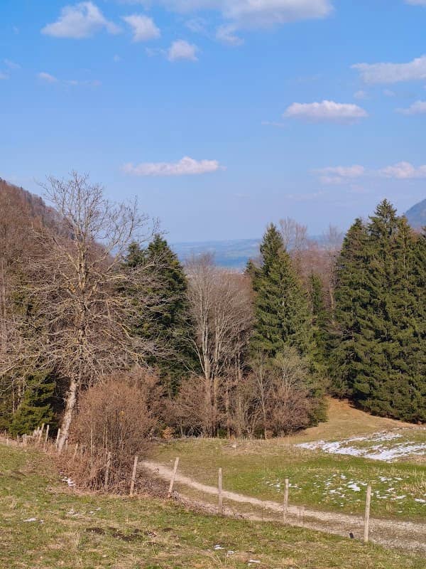 Huberkaser (Weitwiesalm) - Image 1