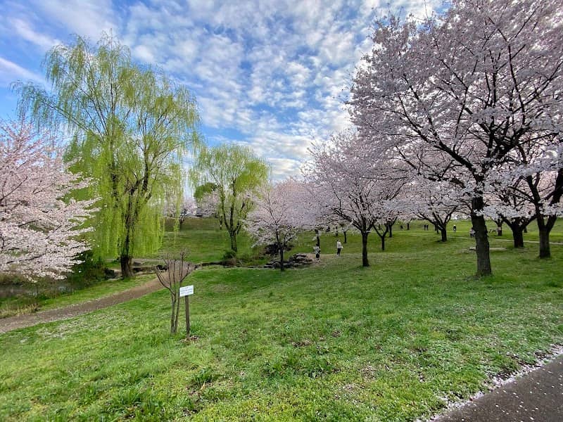 Minamihirano Park - Image 1