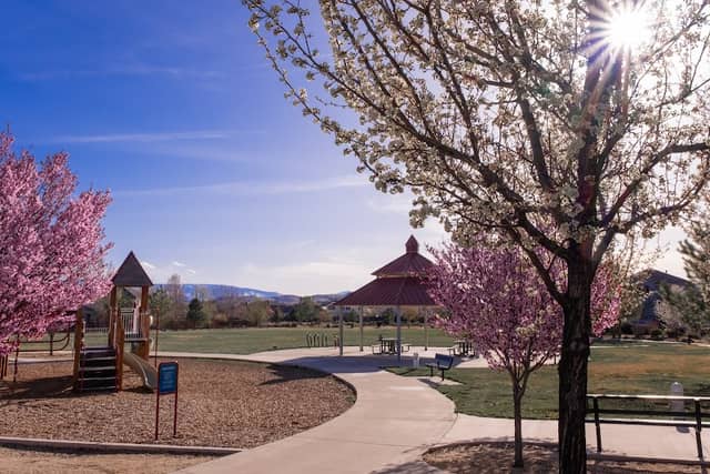 Pelican Park - Image 2