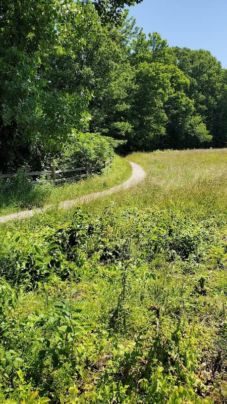 Boston Run Trailhead - Image 2