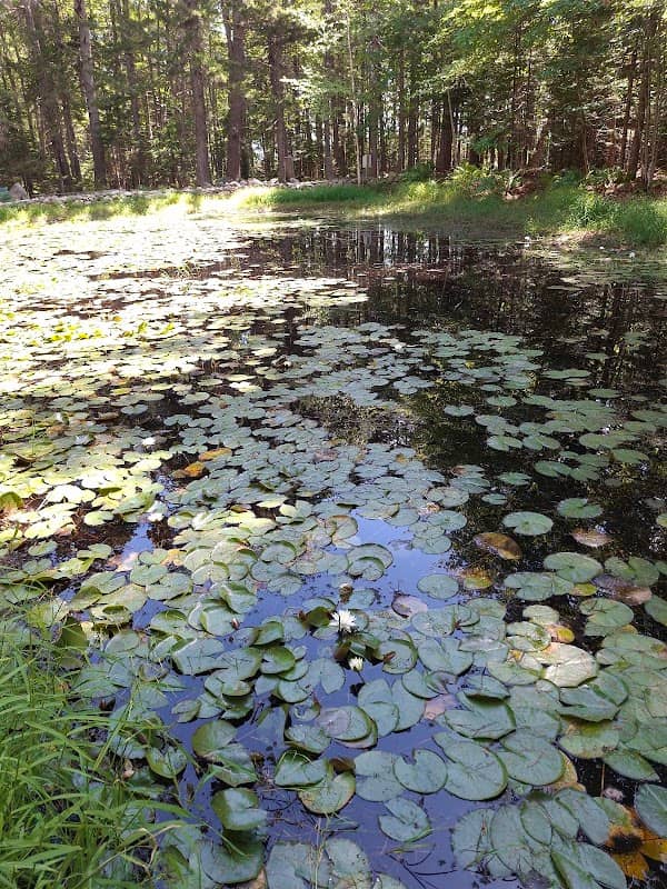 Woodlawn Grounds and Trails - Image 2