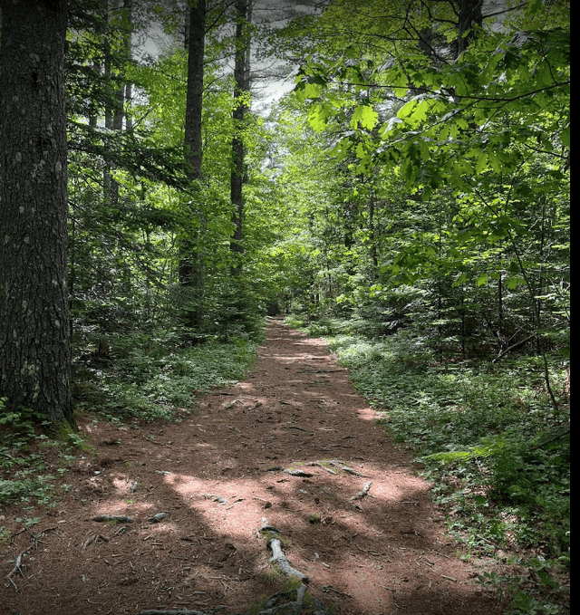 Woodlawn Grounds and Trails - Image 1