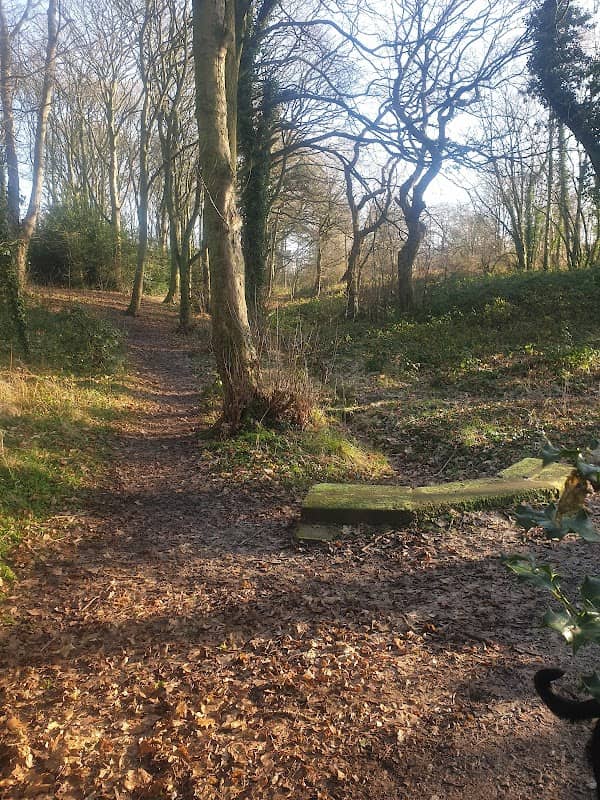 Gypsy Brook - Image 2