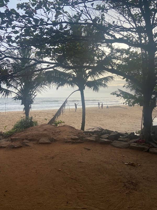 South Cliff Beach - Image 2