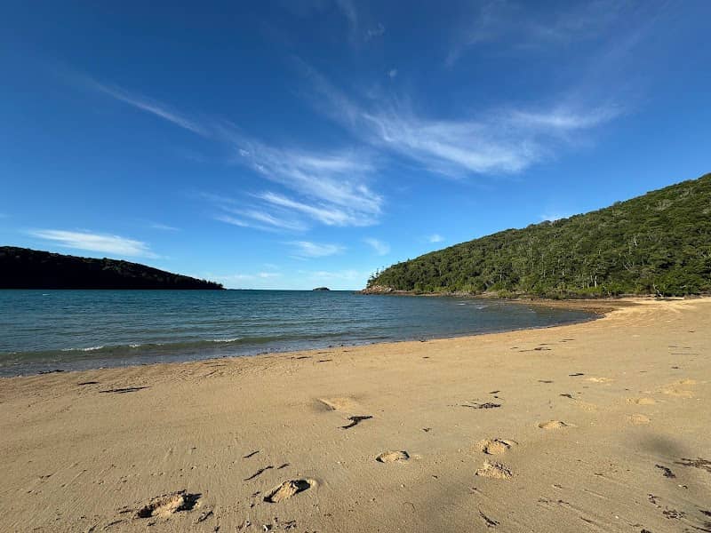 Coral Cove - Image 1
