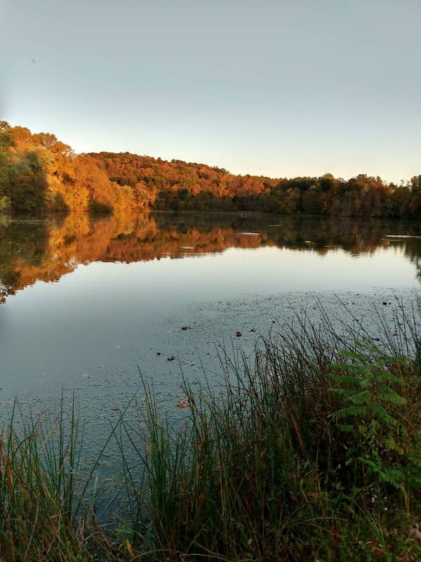 Turkey Run Lake Wildlife Management Area - Image 1