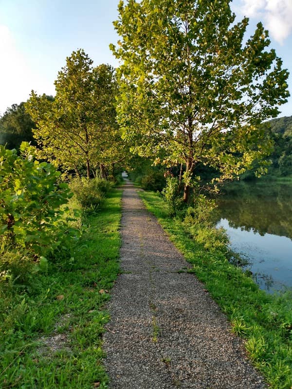 Turkey Run Lake Wildlife Management Area - Image 3