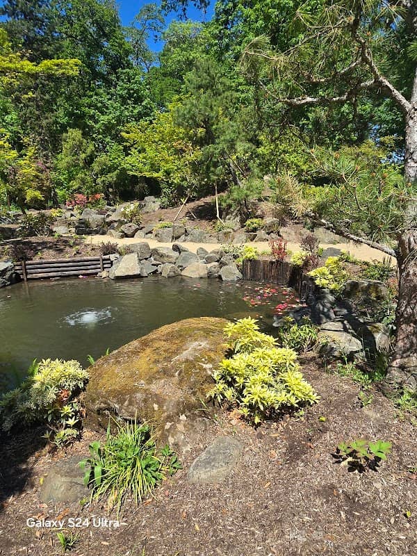 Dallas Japanese Garden - Image 2