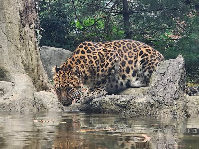 Staten Island Zoo - Image 2