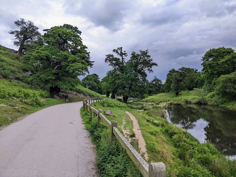 Little Matlock Gorge - Image 2