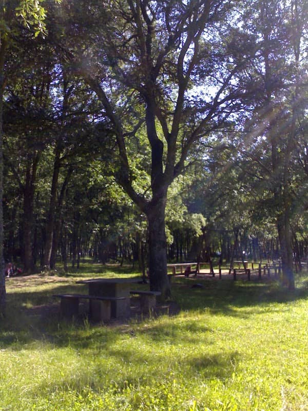 Parque Publico Monte San Isidro - Image 1