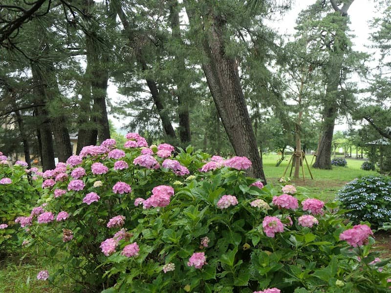 Jinbee Park - Image 1