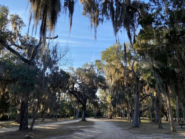 Tomoka State Park - Image 1