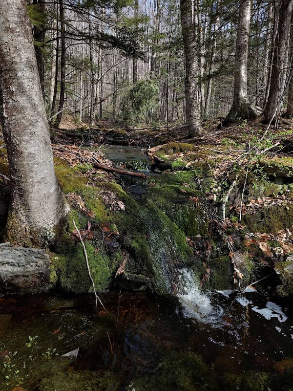 Bog Brook Trailhead - Image 1