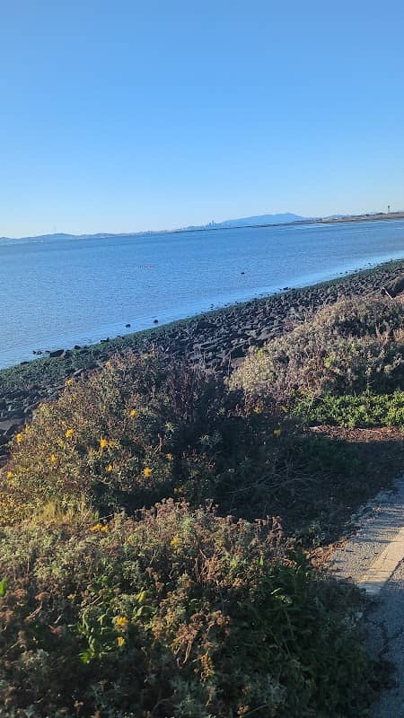 San Lorenzo Bay Trail - Image 2
