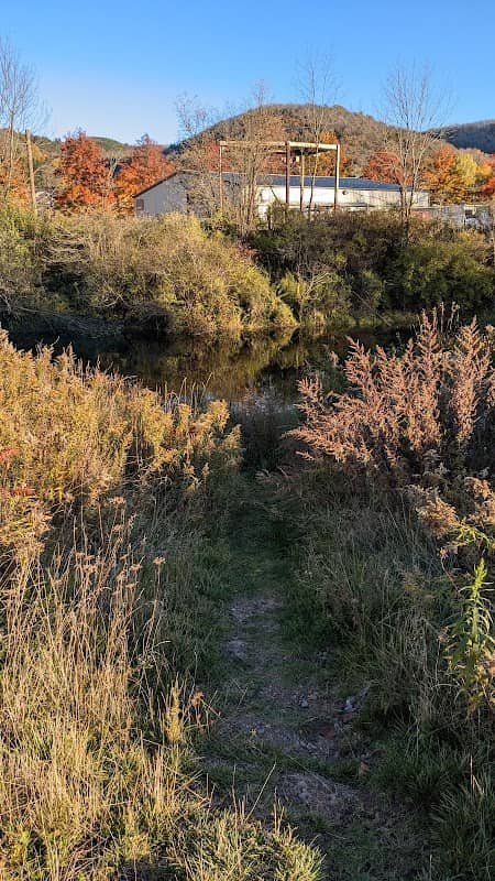 Allegheny River - Image 1