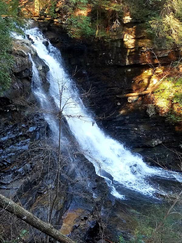 Boardtree Falls - Image 2