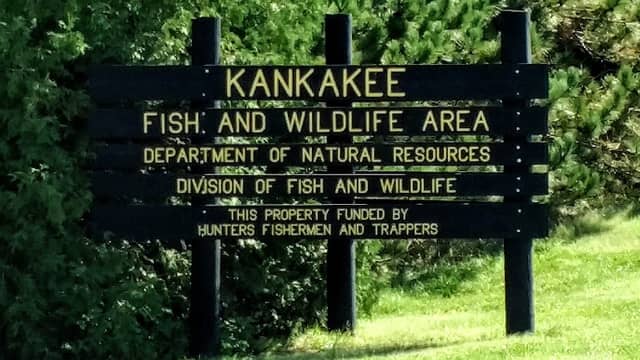 Kankakee Fish & Wildlife Area - Image 2