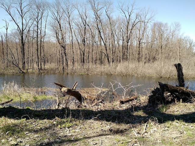 Kankakee Fish & Wildlife Area - Image 1