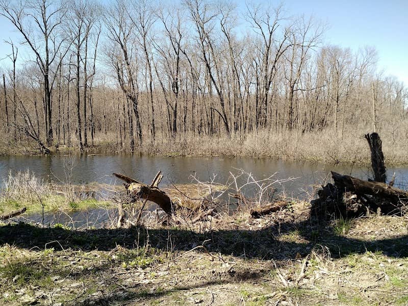 Kankakee Fish & Wildlife Area - Image 1