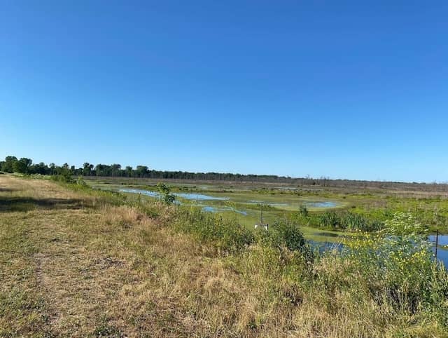 Kankakee Fish & Wildlife Area - Image 3