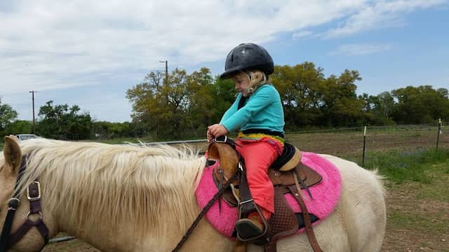 Belton Pony Party Barn - Image 1