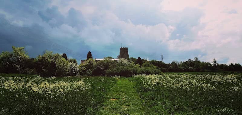 Church Meadow Nature Reserve - Image 2