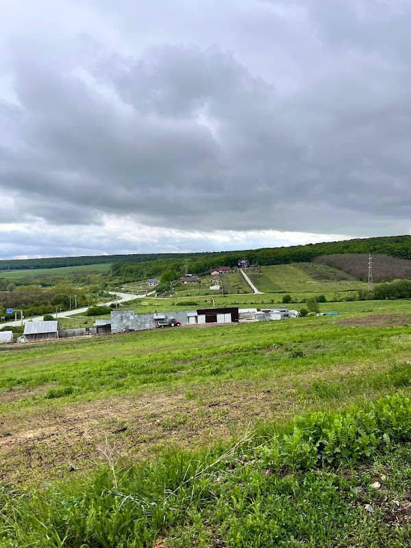 Belvedere - Image 1