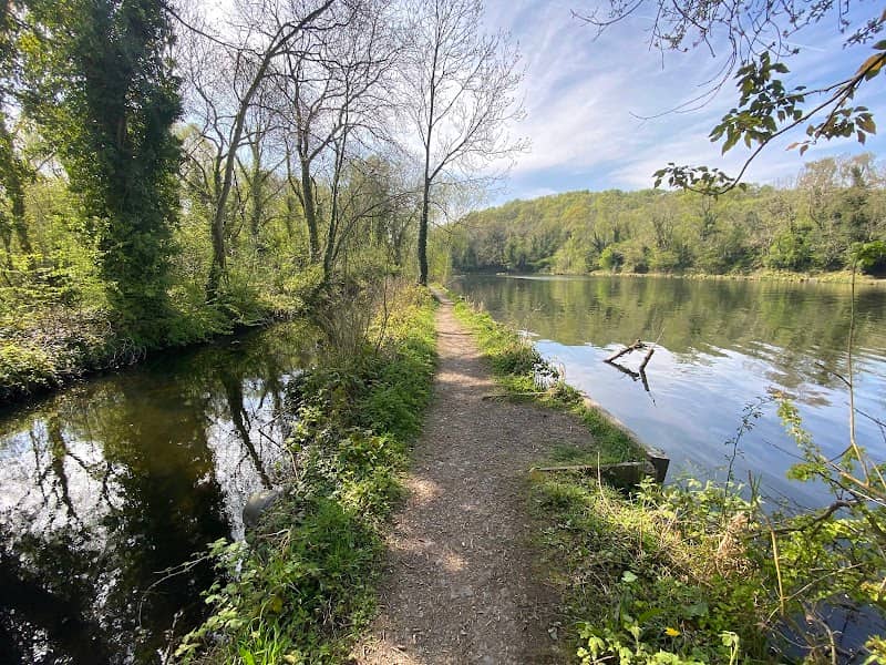 Telford Town Park - Image 2