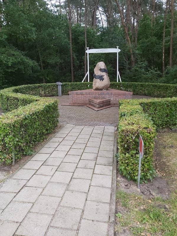 Het Heemserveense Bos - Image 2