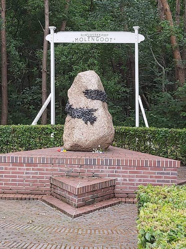 Het Heemserveense Bos - Image 1